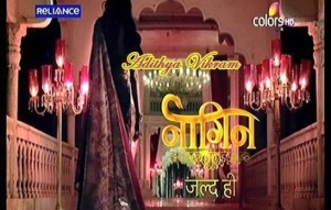 Naagin TV Serial Cast | Story | Timings